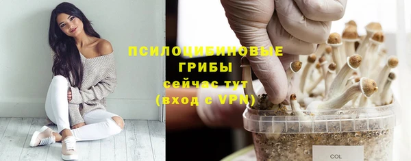 МДПВ Алзамай