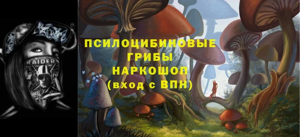 PSILOCYBIN Армянск