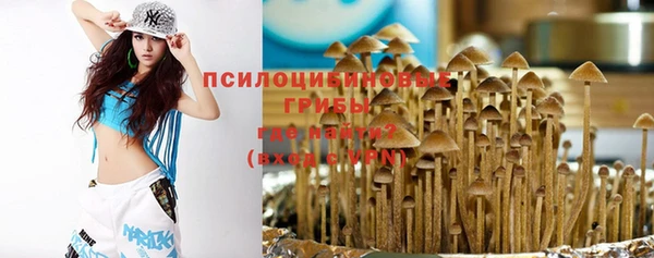 гашик Аркадак