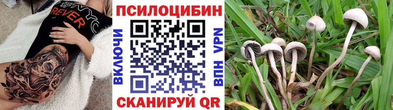 Галлюциногенные грибы мицелий  наркошоп  Клин 